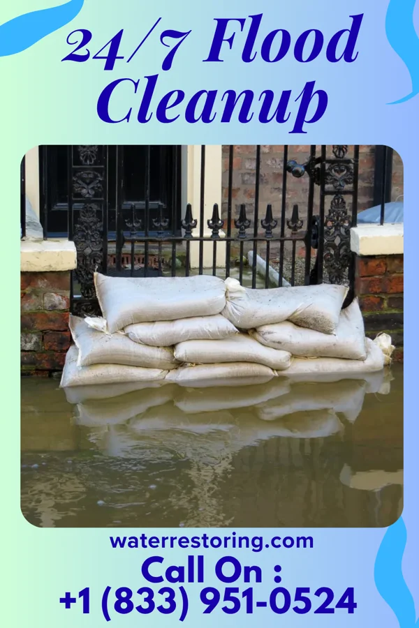 24/7 Flood Cleanup in Southside Chesconessex, VA