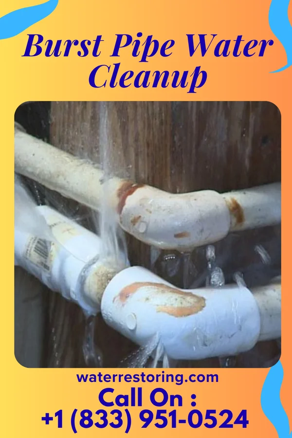 Burst Pipe Water Cleanup in Southside Chesconessex, VA