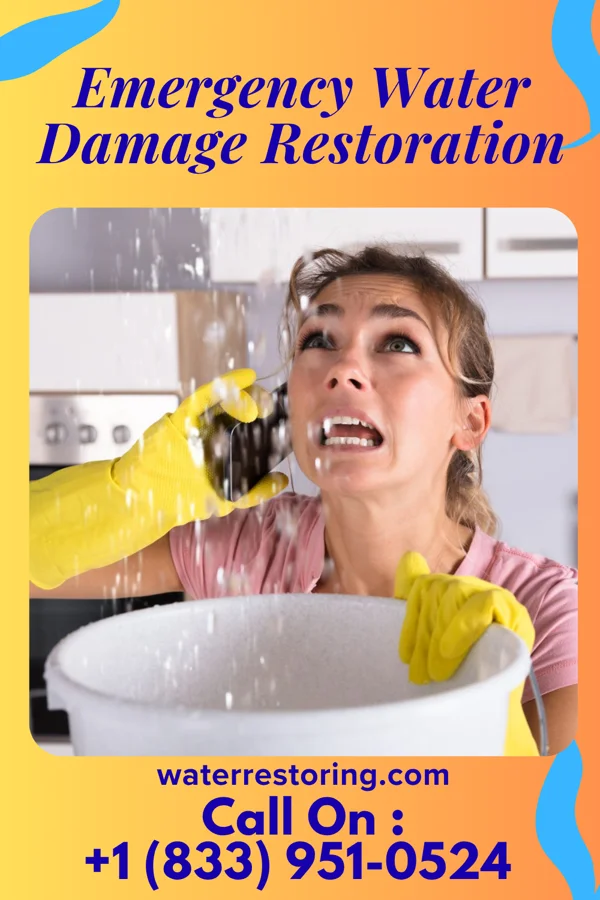 Emergency Water Damage Restoration in Southside Chesconessex, VA