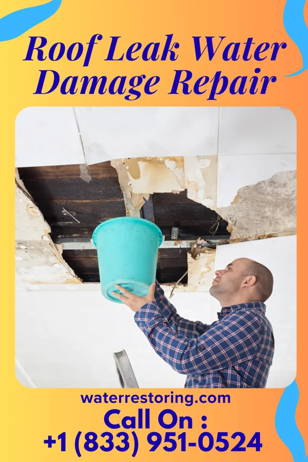 Roof Leak Water Damage Repair in Southside Chesconessex, VA