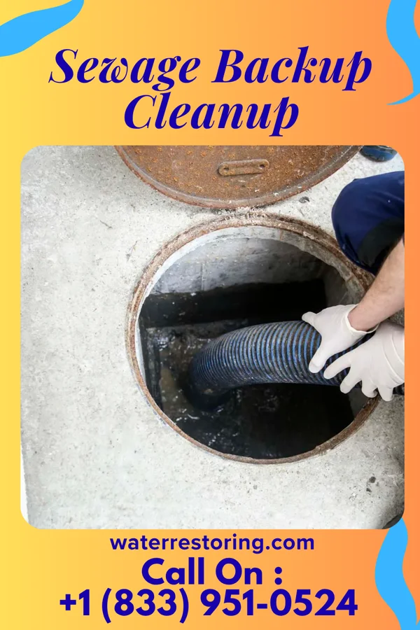 Sewage Backup Cleanup in Southside Chesconessex, VA